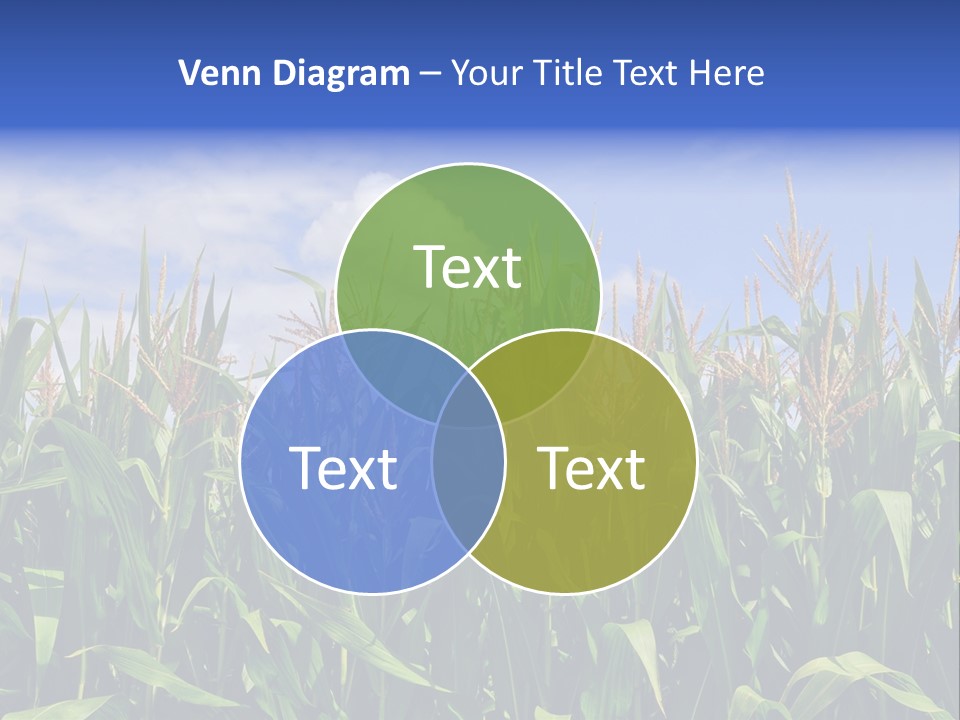 Field Summer Crop PowerPoint Template