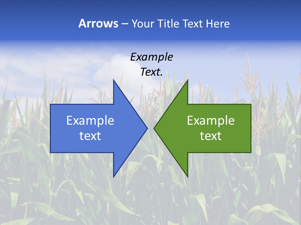 Field Summer Crop PowerPoint Template