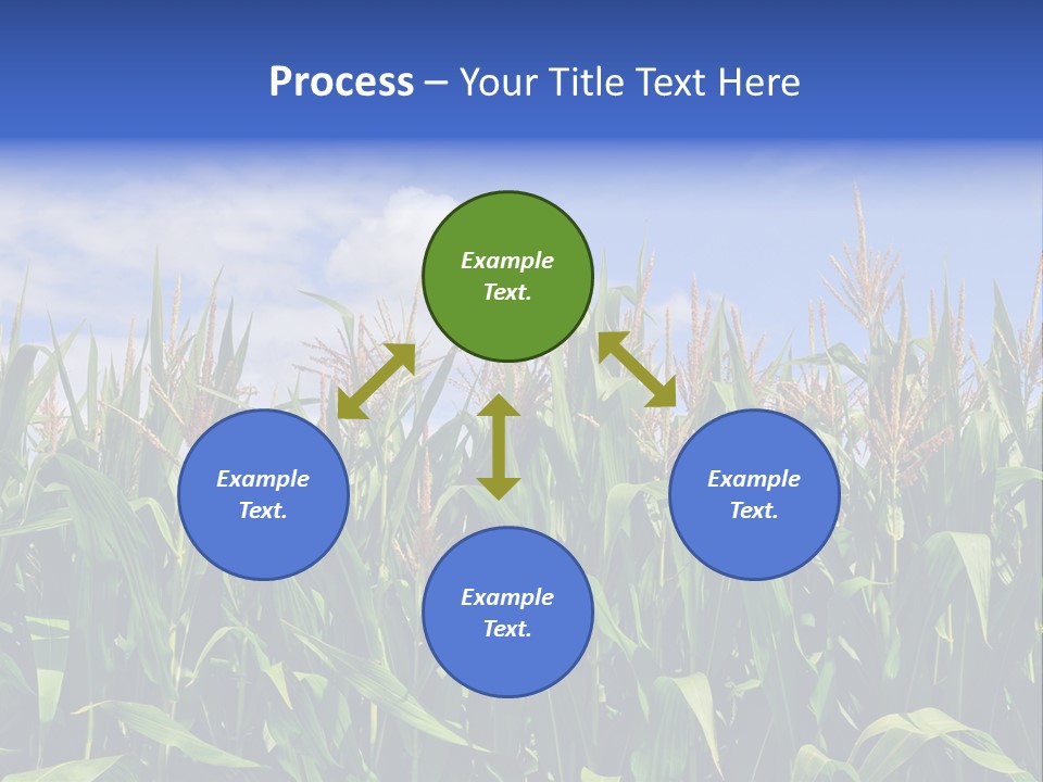 Field Summer Crop PowerPoint Template