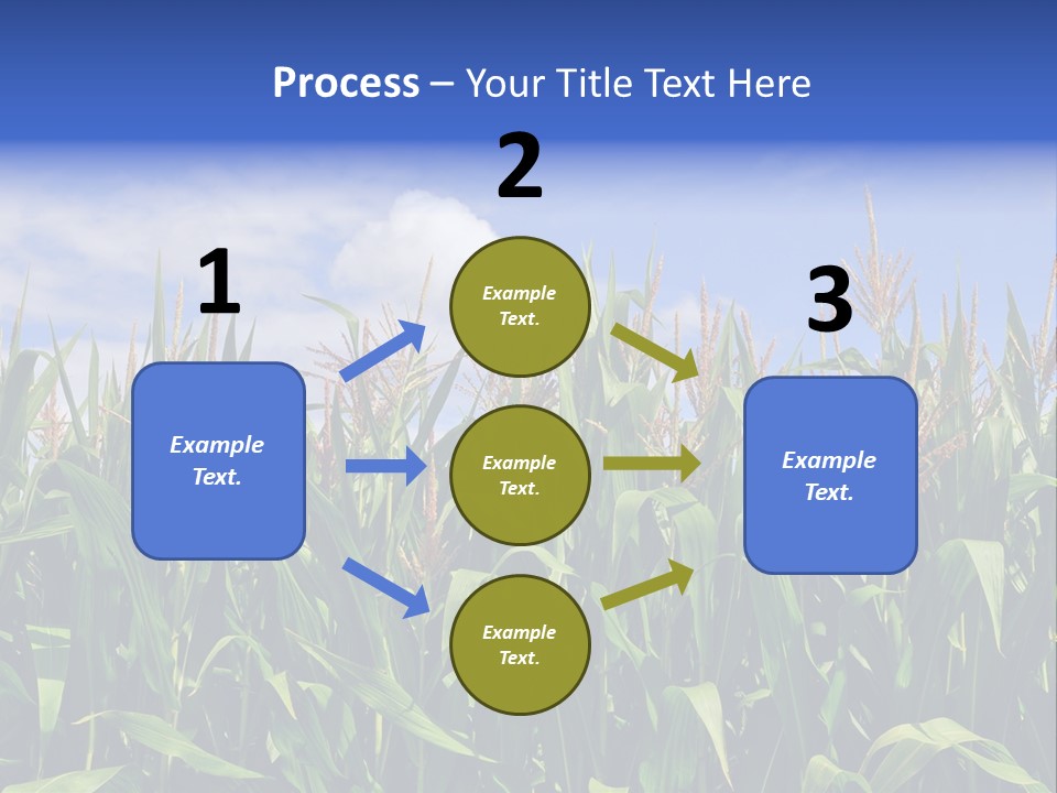 Field Summer Crop PowerPoint Template