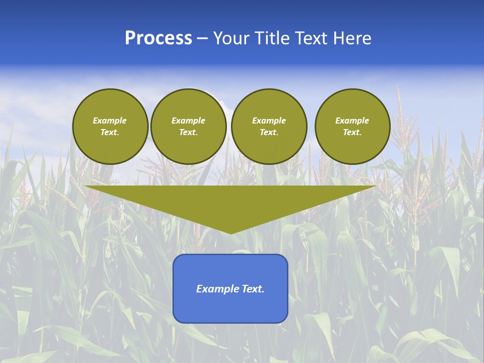 Field Summer Crop PowerPoint Template