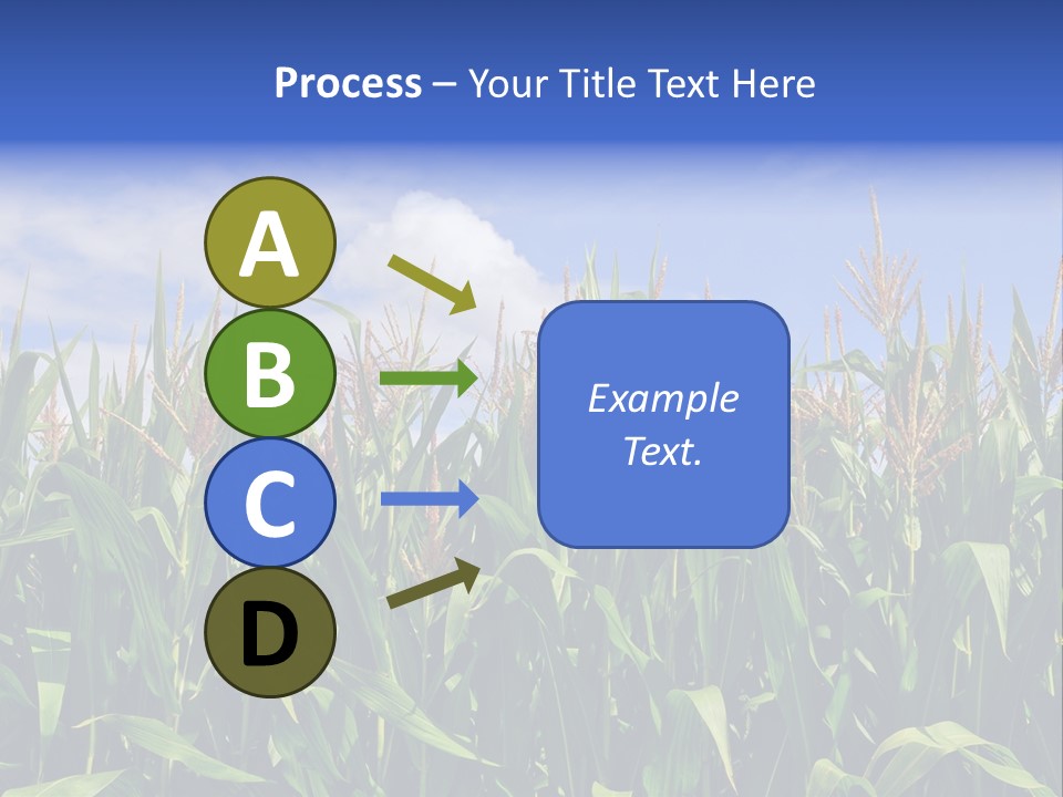 Field Summer Crop PowerPoint Template