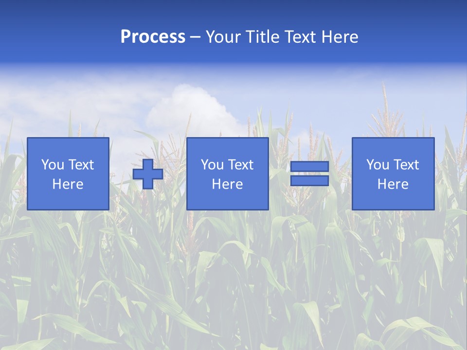 Field Summer Crop PowerPoint Template