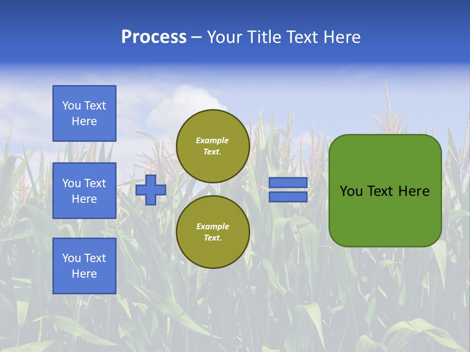 Field Summer Crop PowerPoint Template