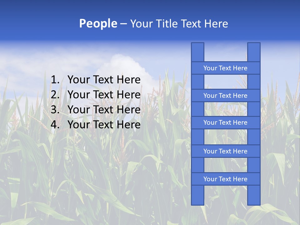 Field Summer Crop PowerPoint Template