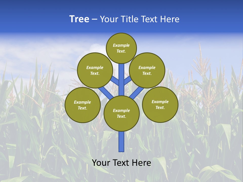 Field Summer Crop PowerPoint Template