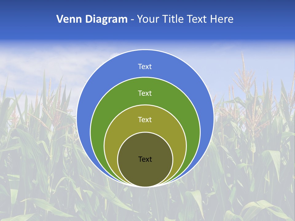 Field Summer Crop PowerPoint Template