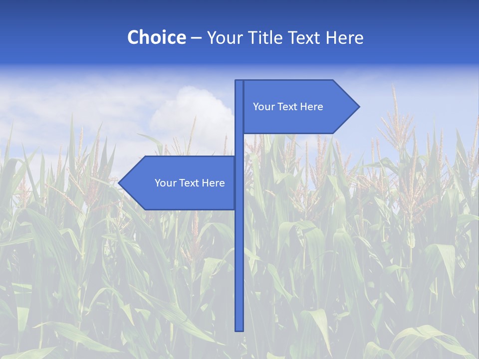 Field Summer Crop PowerPoint Template