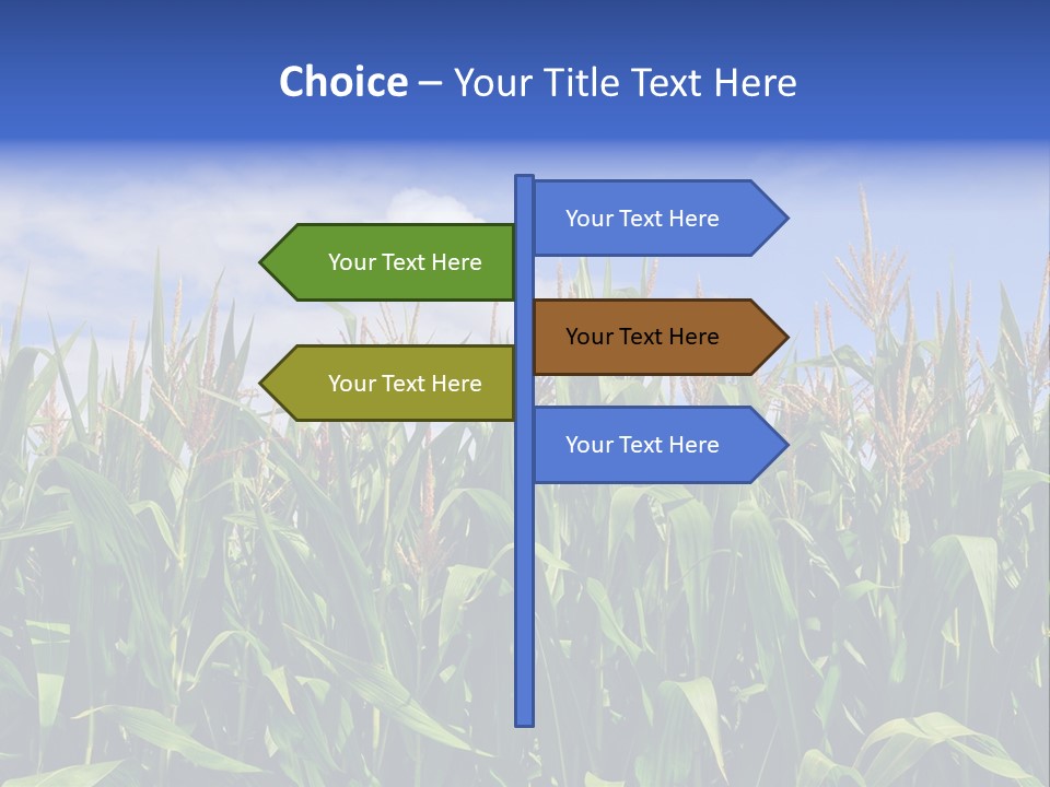Field Summer Crop PowerPoint Template