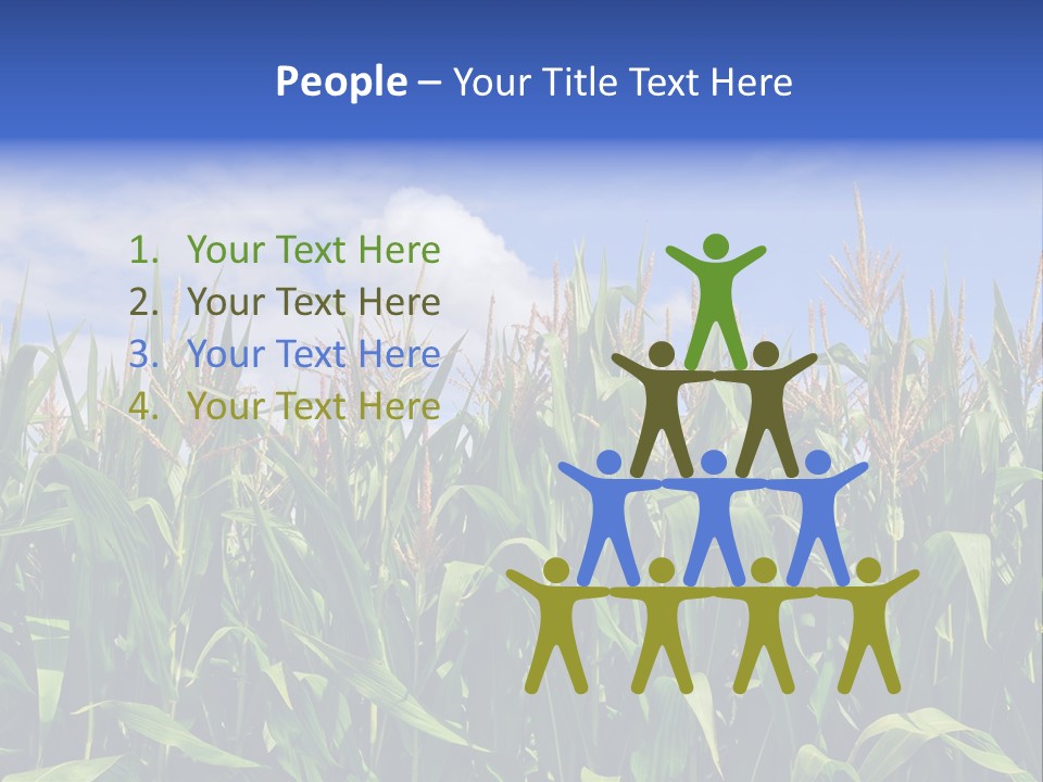 Field Summer Crop PowerPoint Template