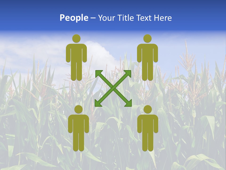 Field Summer Crop PowerPoint Template