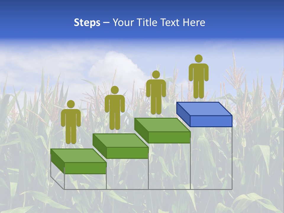 Field Summer Crop PowerPoint Template