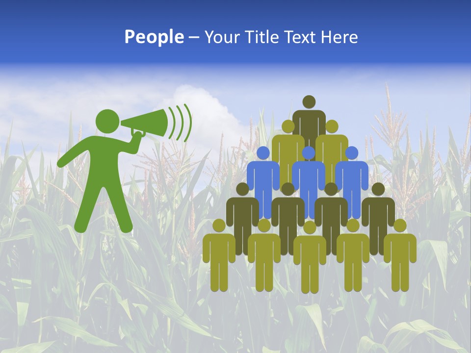 Field Summer Crop PowerPoint Template