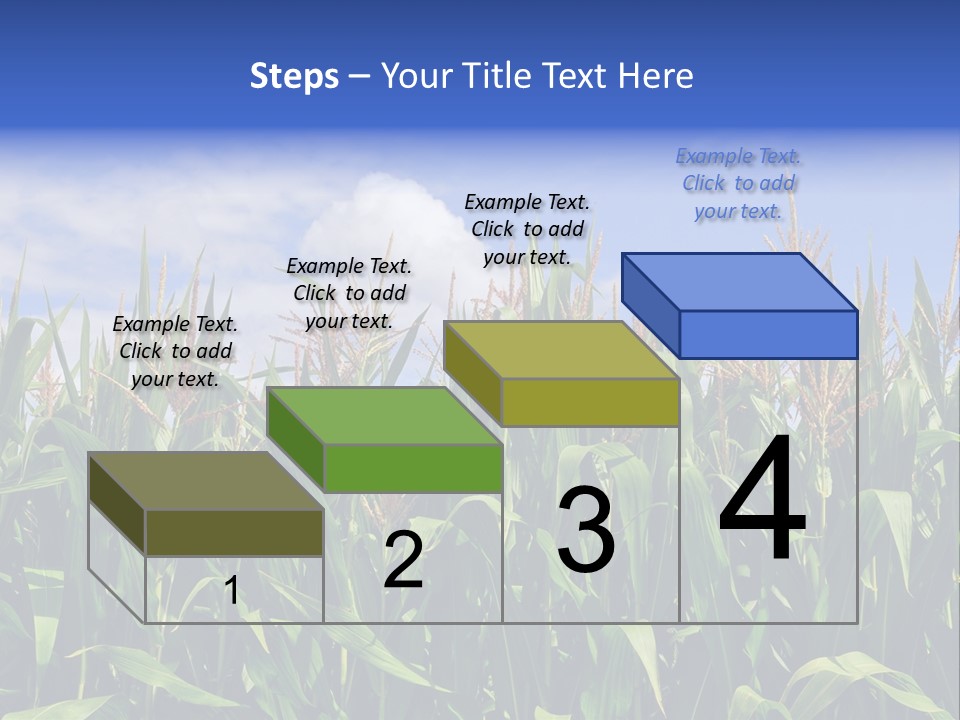 Field Summer Crop PowerPoint Template