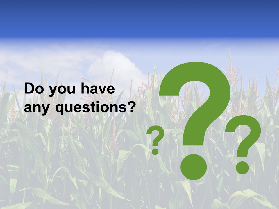 Field Summer Crop PowerPoint Template