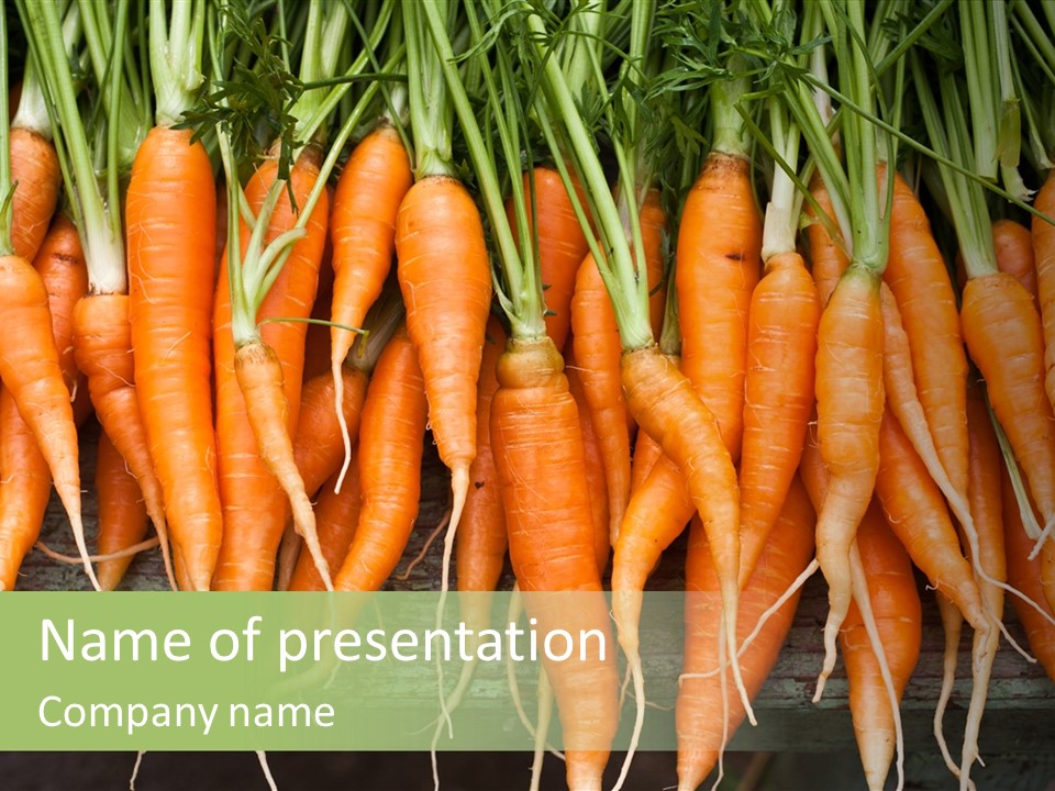 Bunch Plant Nutrition PowerPoint Template