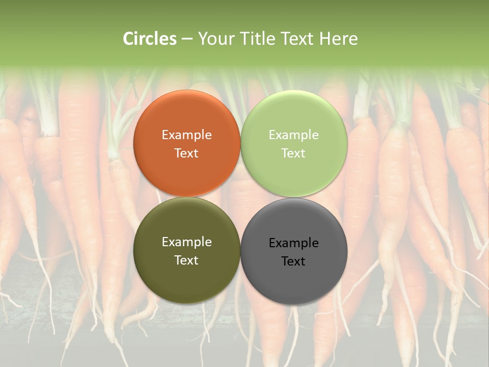 Bunch Plant Nutrition PowerPoint Template