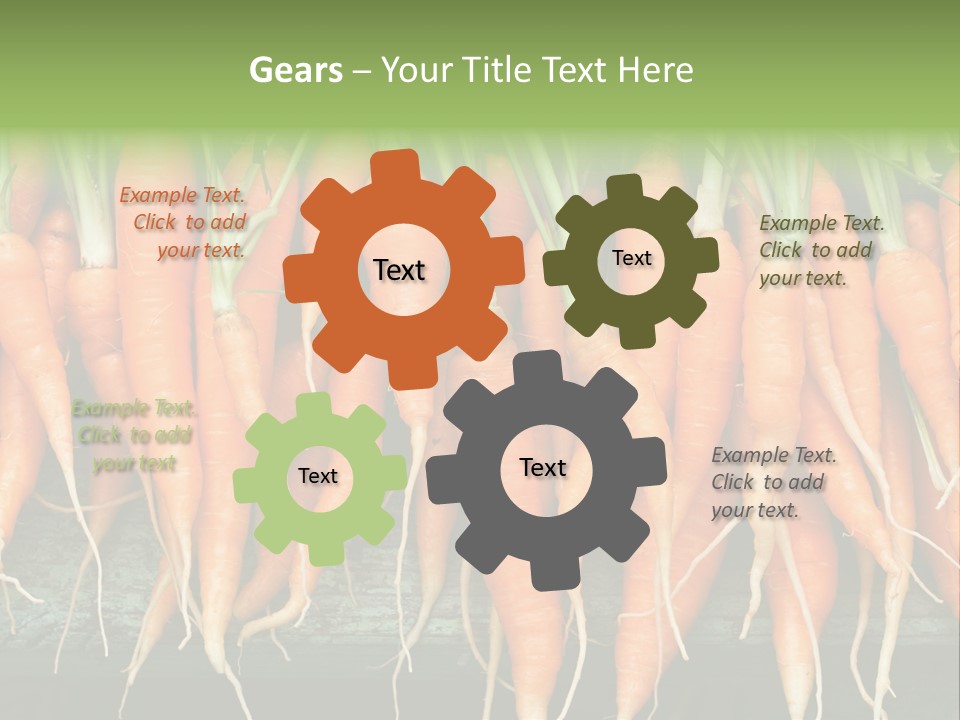 Bunch Plant Nutrition PowerPoint Template