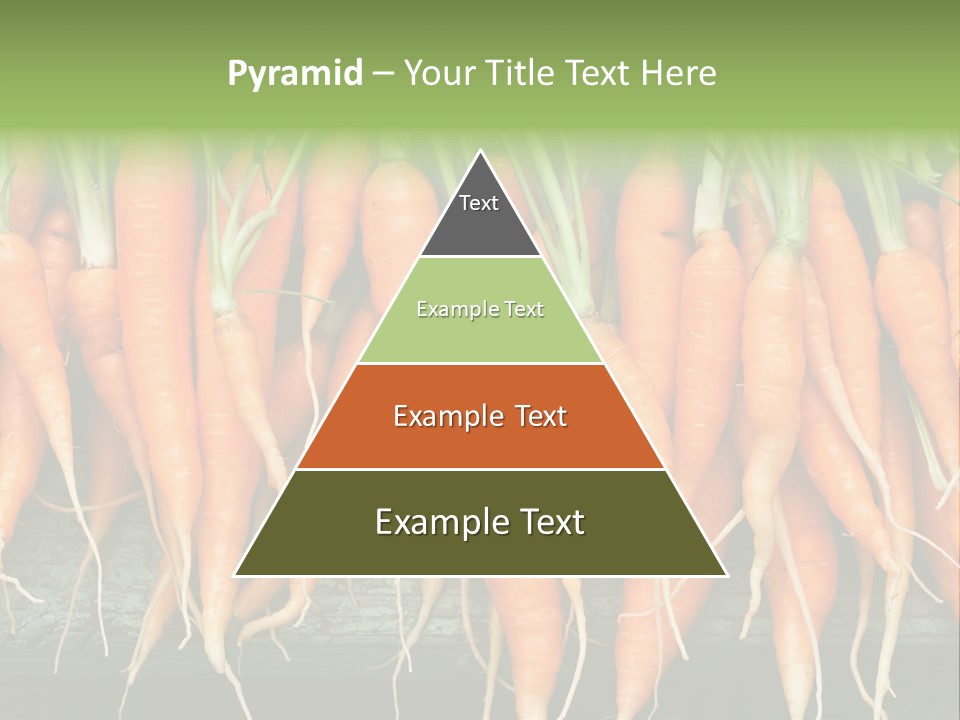 Bunch Plant Nutrition PowerPoint Template