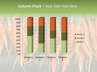 Bunch Plant Nutrition PowerPoint Template