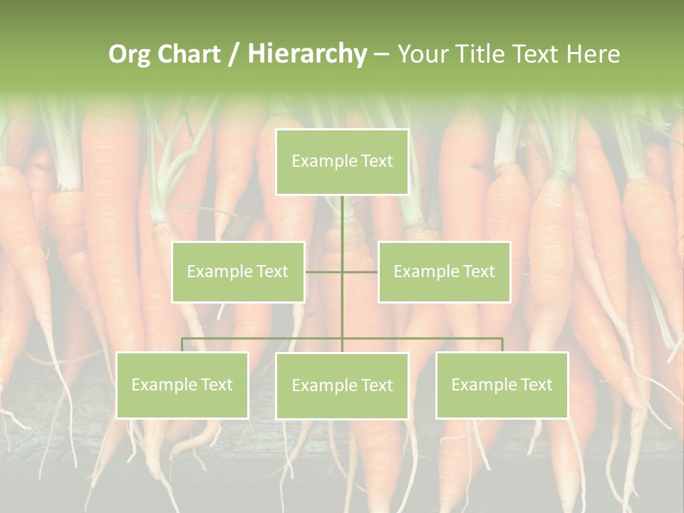 Bunch Plant Nutrition PowerPoint Template