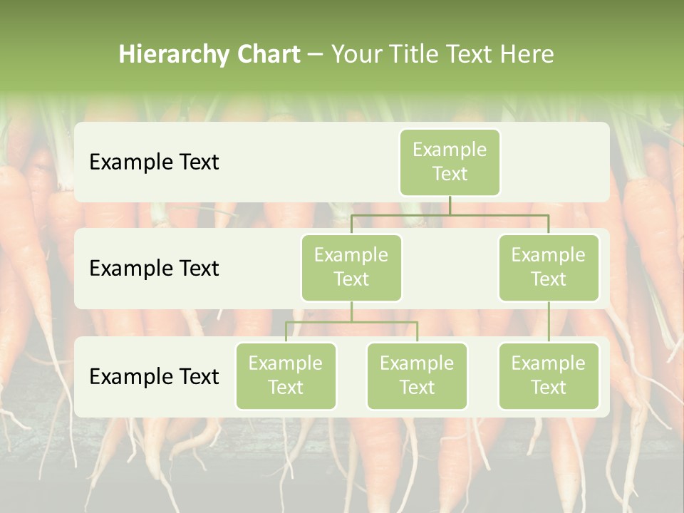 Bunch Plant Nutrition PowerPoint Template