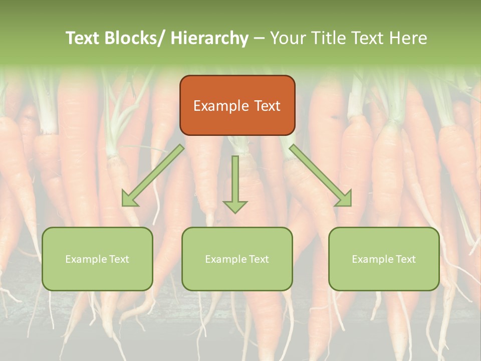 Bunch Plant Nutrition PowerPoint Template