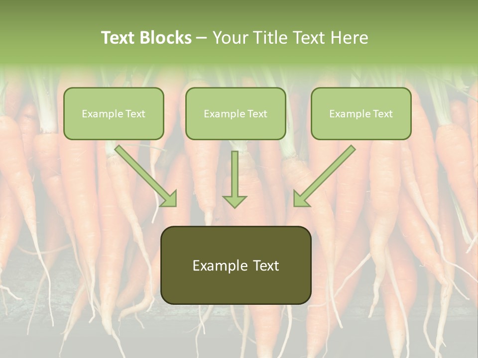 Bunch Plant Nutrition PowerPoint Template