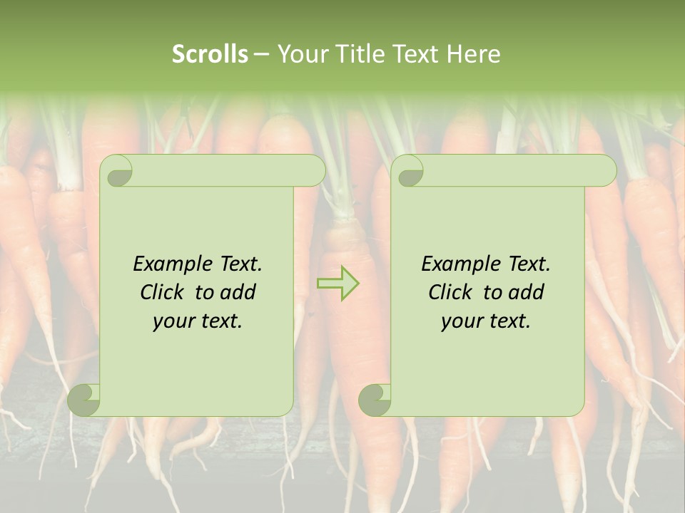 Bunch Plant Nutrition PowerPoint Template