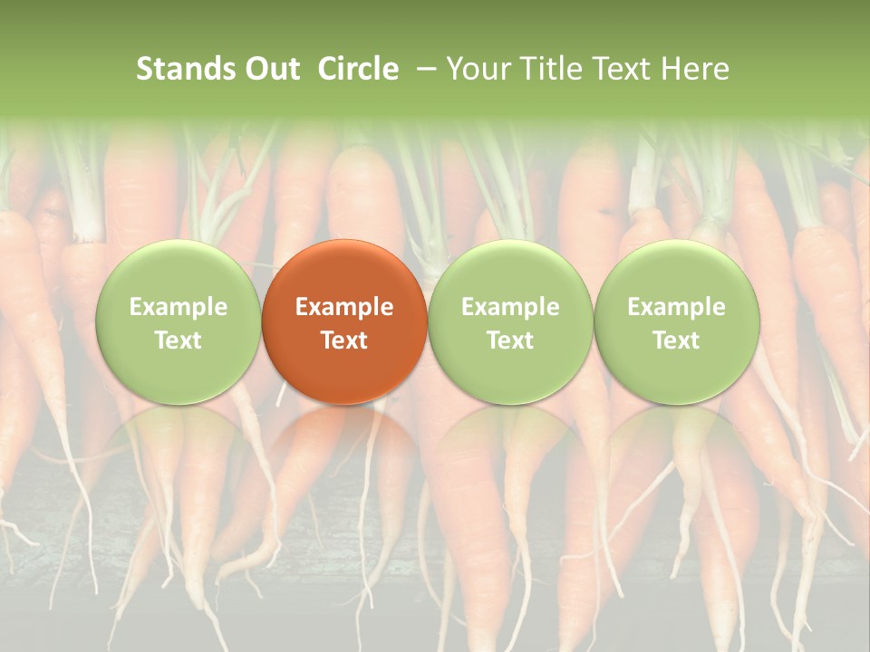 Bunch Plant Nutrition PowerPoint Template