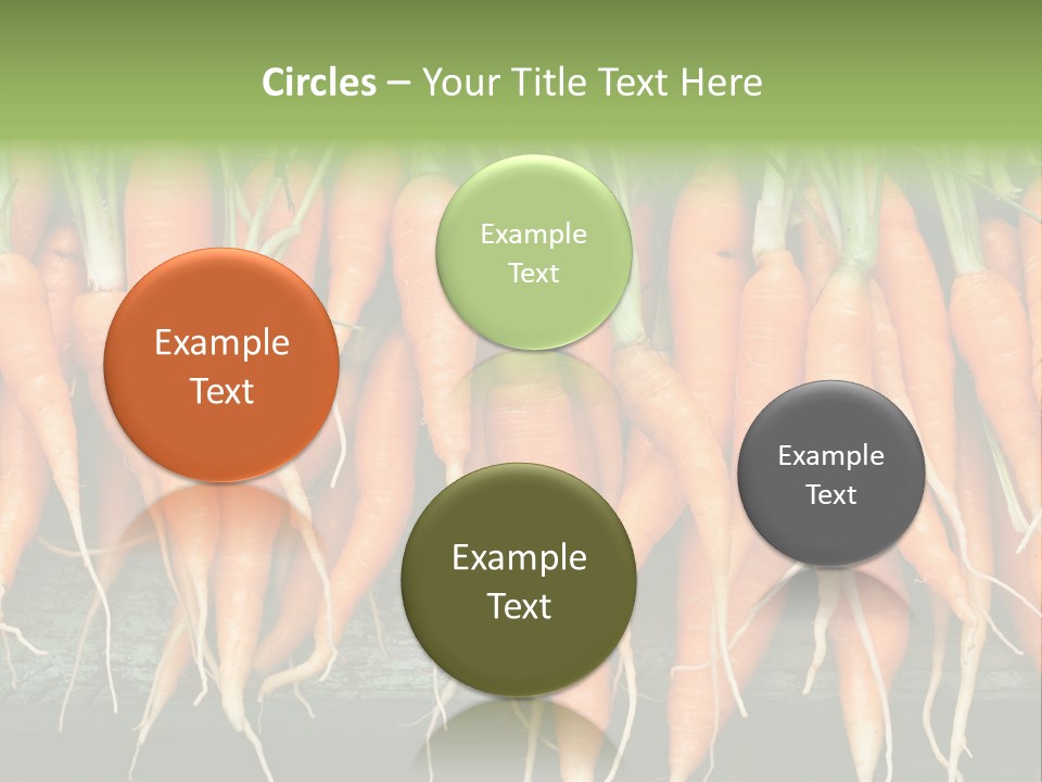 Bunch Plant Nutrition PowerPoint Template