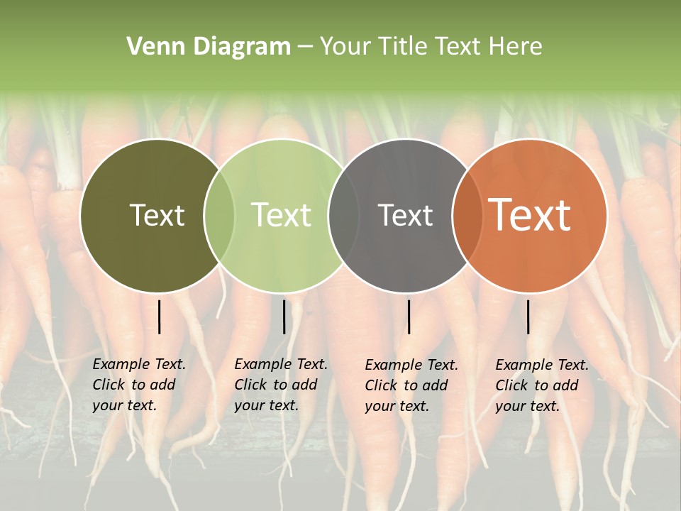 Bunch Plant Nutrition PowerPoint Template