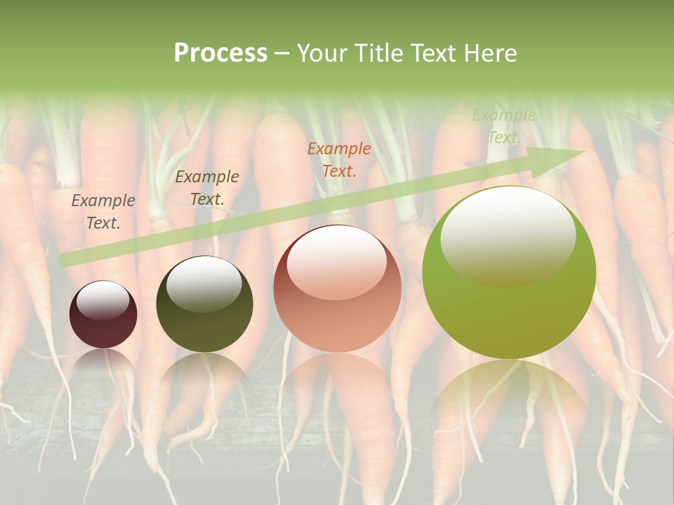 Bunch Plant Nutrition PowerPoint Template