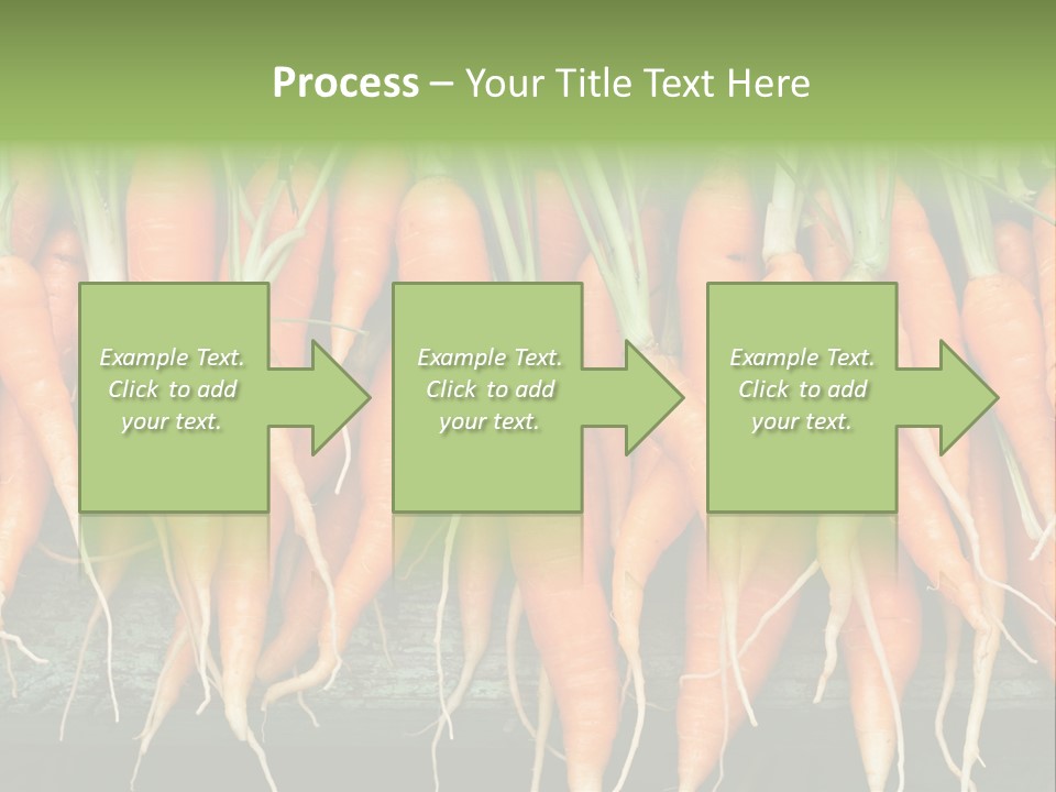 Bunch Plant Nutrition PowerPoint Template