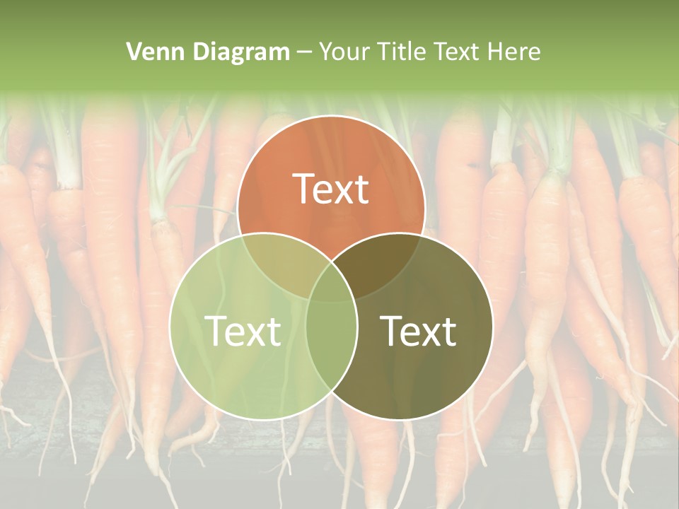 Bunch Plant Nutrition PowerPoint Template
