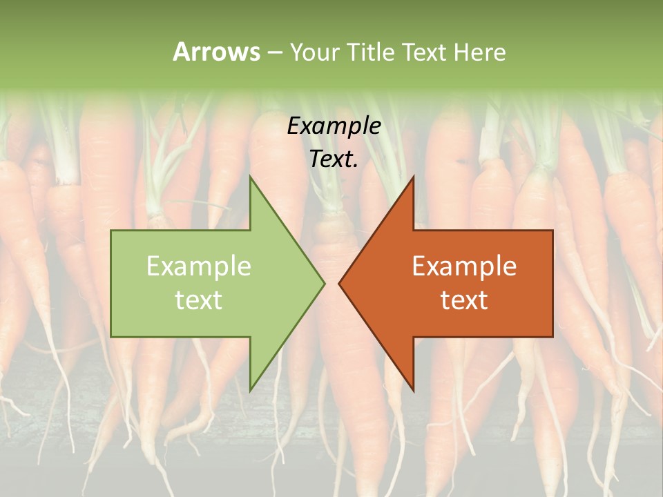Bunch Plant Nutrition PowerPoint Template