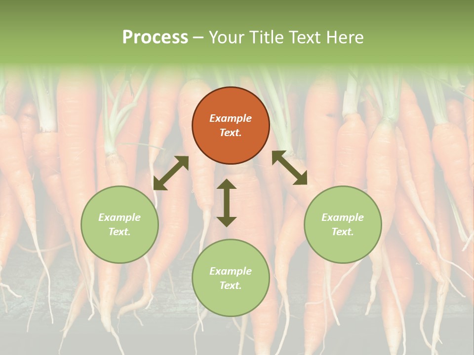 Bunch Plant Nutrition PowerPoint Template