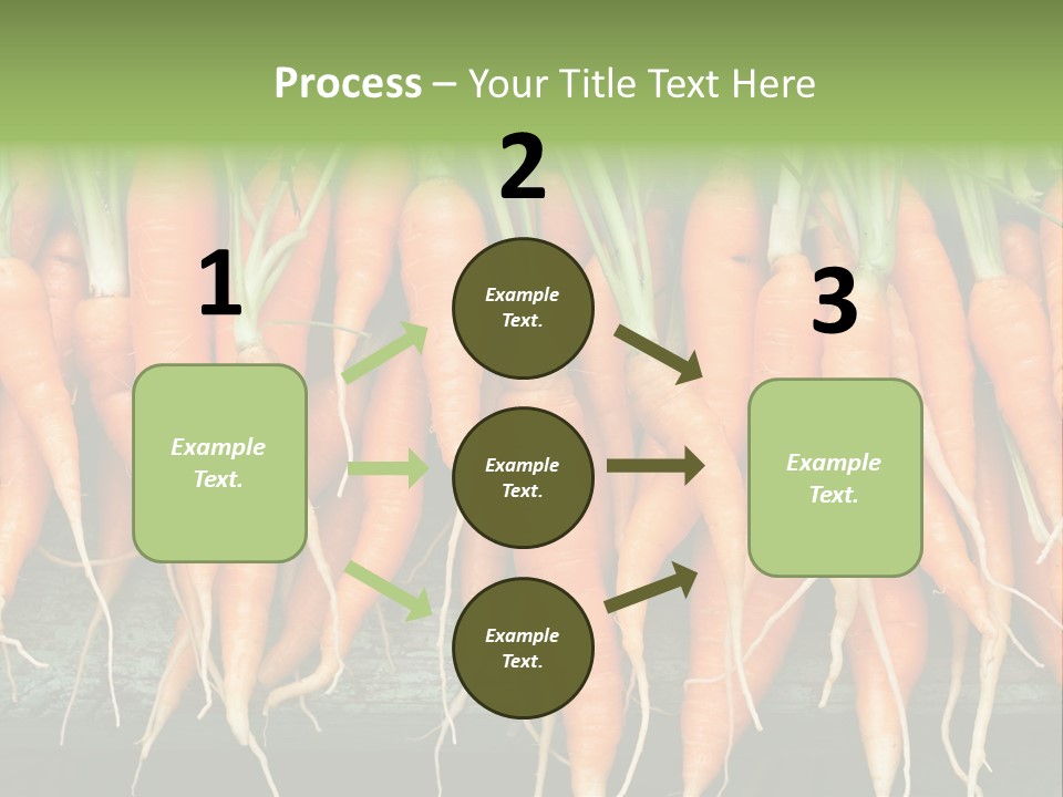 Bunch Plant Nutrition PowerPoint Template