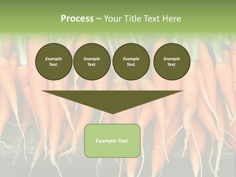 Bunch Plant Nutrition PowerPoint Template