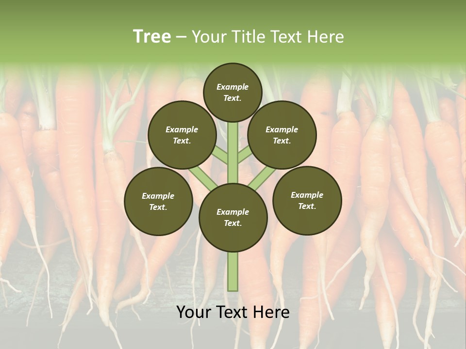 Bunch Plant Nutrition PowerPoint Template
