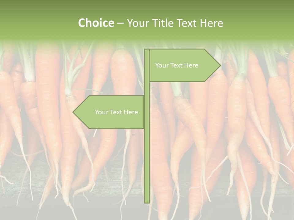 Bunch Plant Nutrition PowerPoint Template