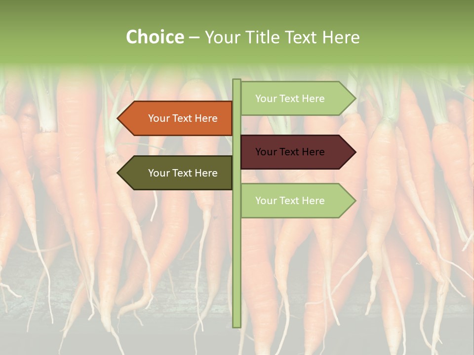 Bunch Plant Nutrition PowerPoint Template