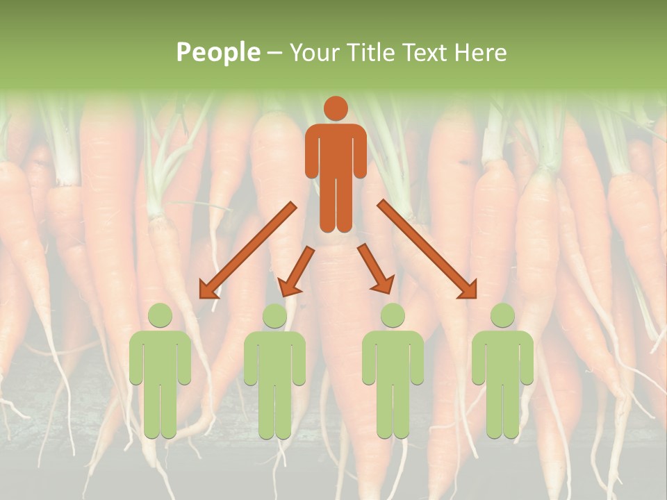 Bunch Plant Nutrition PowerPoint Template