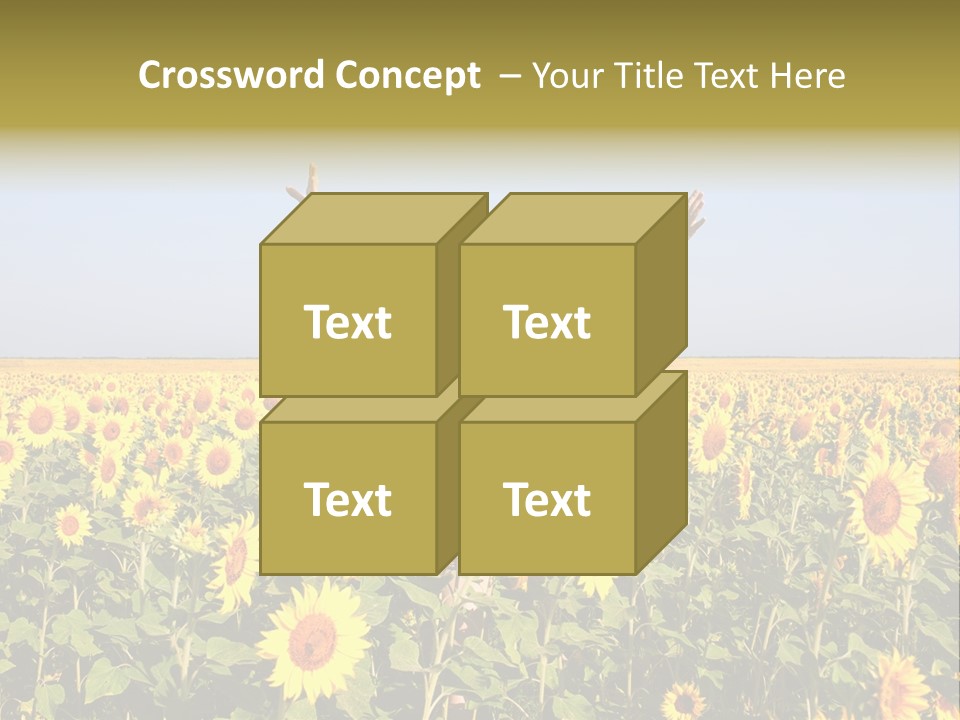 Natural Fashion Clean PowerPoint Template