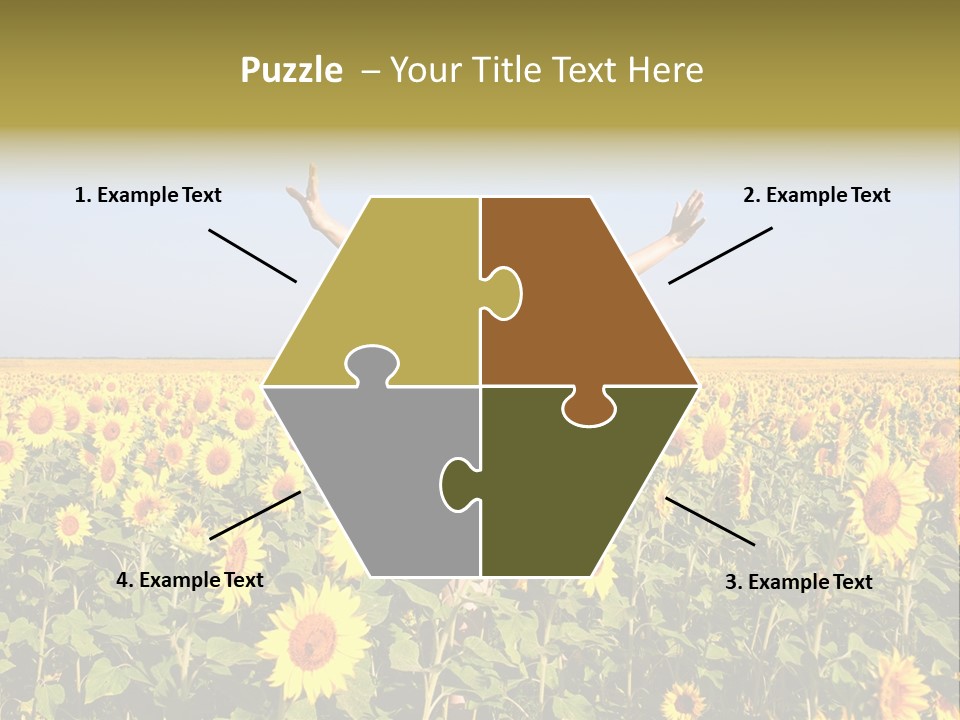 Natural Fashion Clean PowerPoint Template