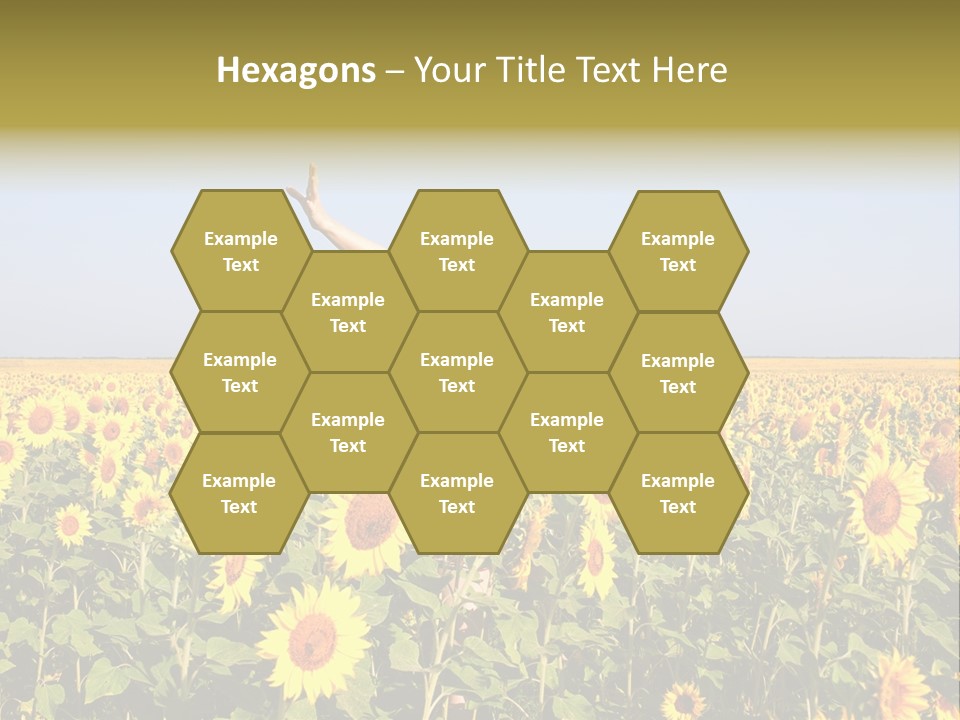 Natural Fashion Clean PowerPoint Template