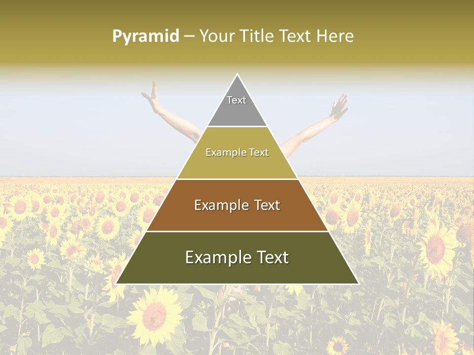 Natural Fashion Clean PowerPoint Template