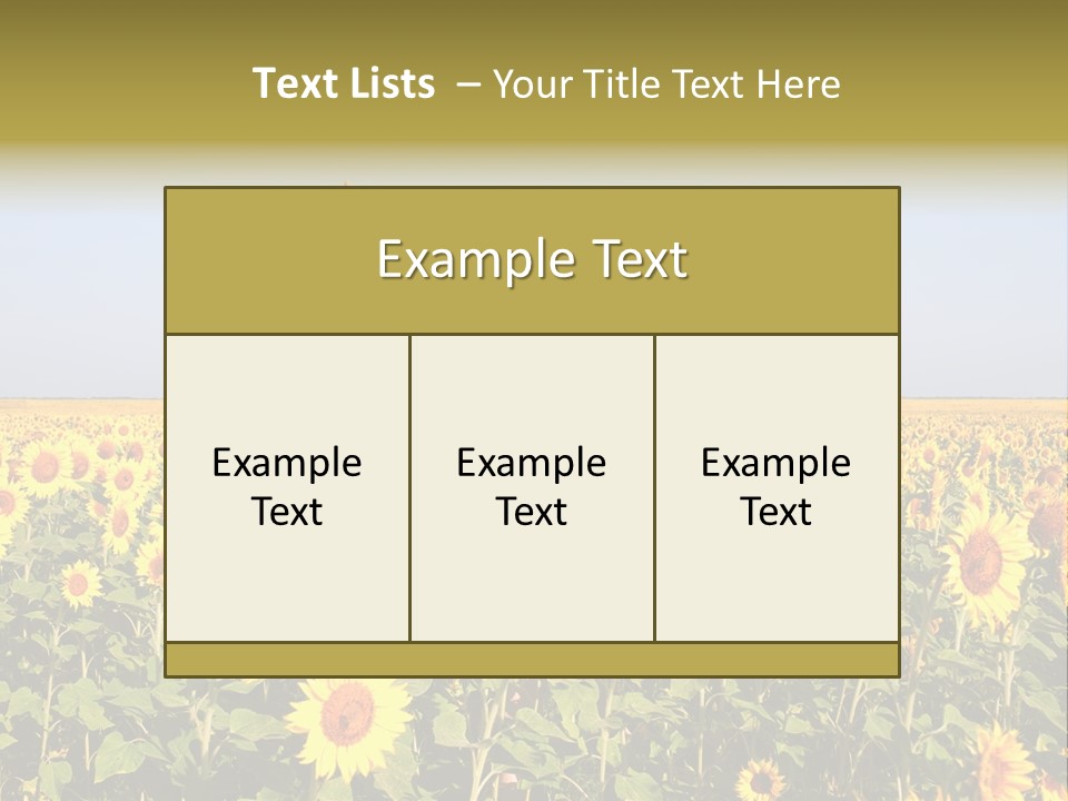 Natural Fashion Clean PowerPoint Template