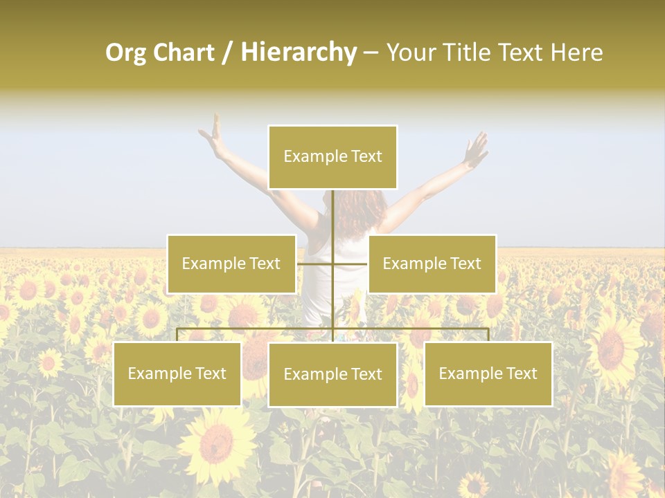 Natural Fashion Clean PowerPoint Template