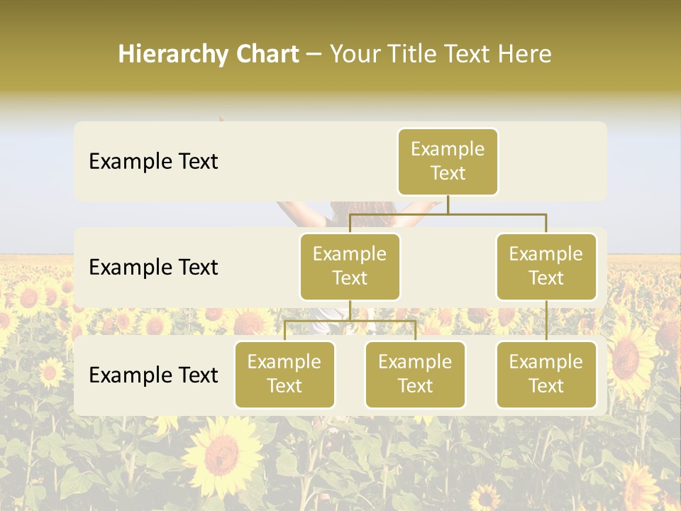 Natural Fashion Clean PowerPoint Template
